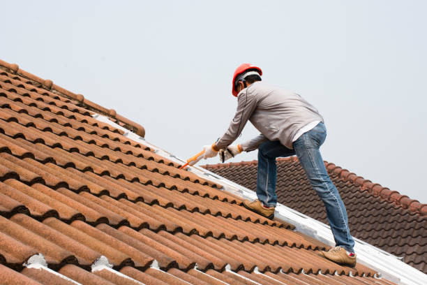 Best Roof Ventilation Installation  in Brushy Creek, TX
